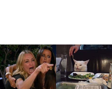 Meme Generator Woman Yelling At Cat Meme