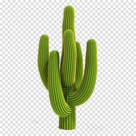 Download High Quality cactus clip art saguaro Transparent PNG Images ...