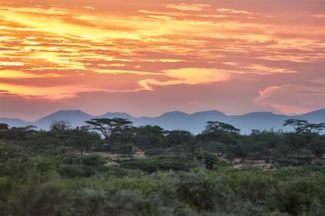 Up Close With the Tribes of Ethiopia’s Imperiled Omo Valley - The New ...