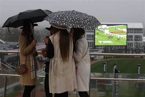 Cheltenham Festival weather: Latest forecast ahead of racing | The ...