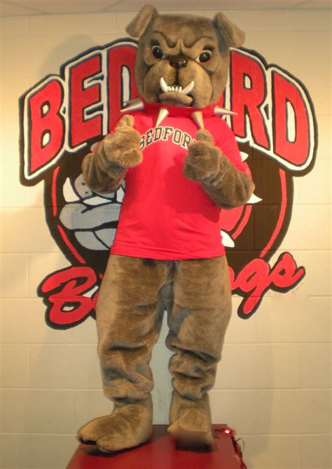 About Bedford Bulldogs Athletic Booster Club | Bedford High School Sports