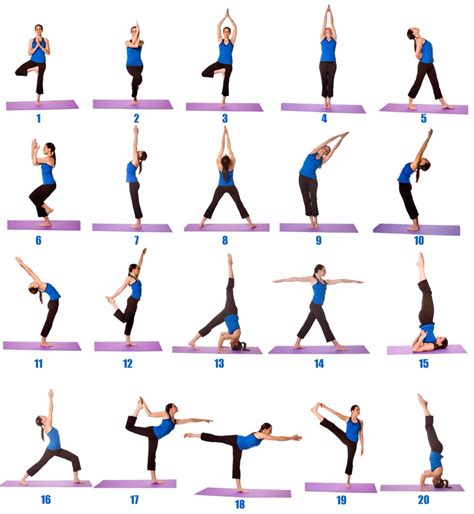 Yoga Poses For Beginners - Musely