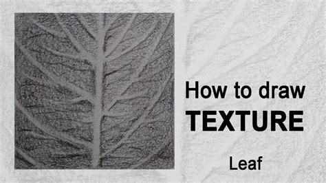 How to draw Texture | Leaf | Pencil Sketch - YouTube