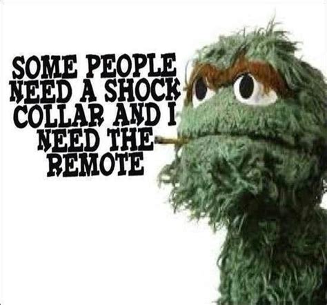 That is the best friend I know. Oscar the Grouch. | Funny quotes ...