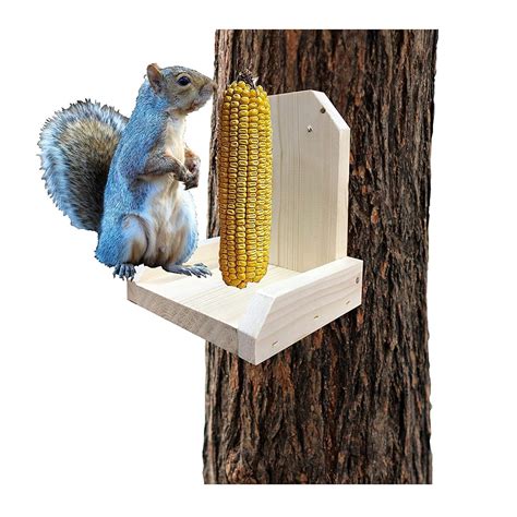 Natural Squirrel Feeder Platform – SquirrelSupply.com