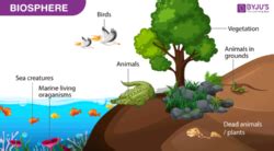 What is Biosphere? - Definition, Resources with Examples & Images