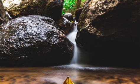 Favourite walking tracks in Mount Tamborine National Park | More here ...