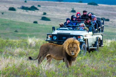 South African Safari with Kids near the Garden Route - Trekaroo Family ...