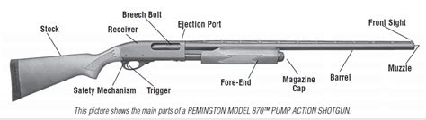 Remington 870 Express Review (Pros/Cons) & Parts Diagram