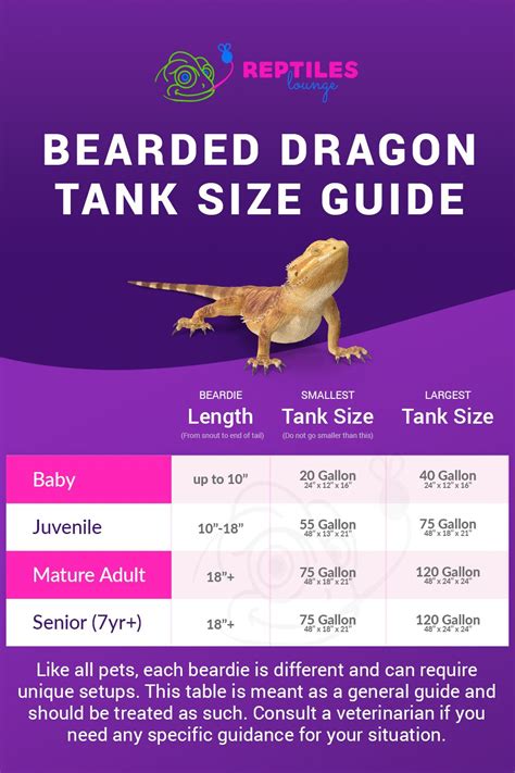 Bearded Dragon Tank Size Guide | Bearded dragon, Bearded dragon tank ...