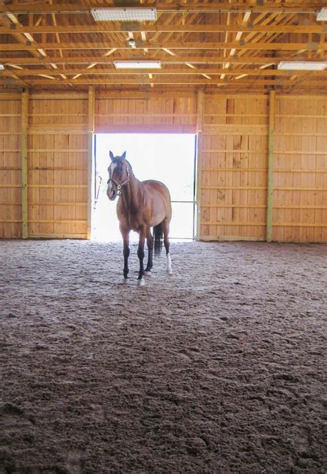 Horse Arena Footing , Dust Free « IGK Equestrian, LLC