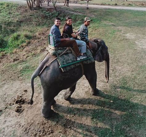 Manas national park Elephant Safari booking Online - NorthEast Guide