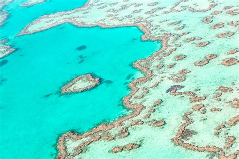 Heart Reef - Sailing Whitsundays