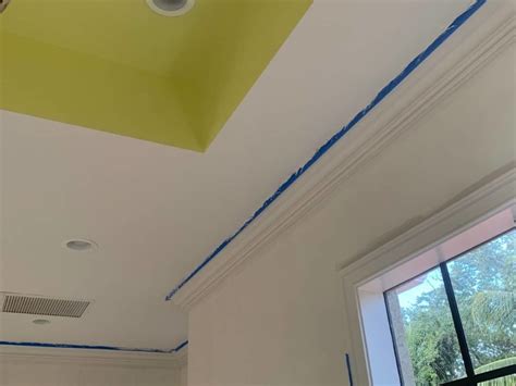 Can You Use Ceiling Paint on Trim? (Explained)