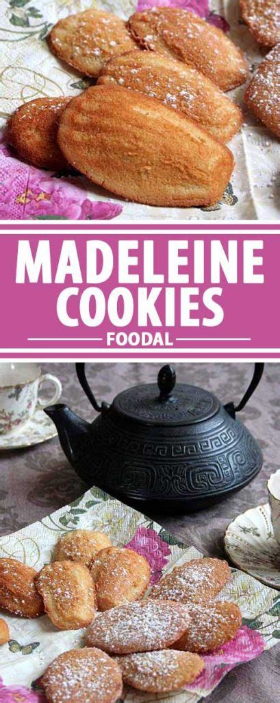 The Best Classic French Madeleine Cookie Recipe | Foodal