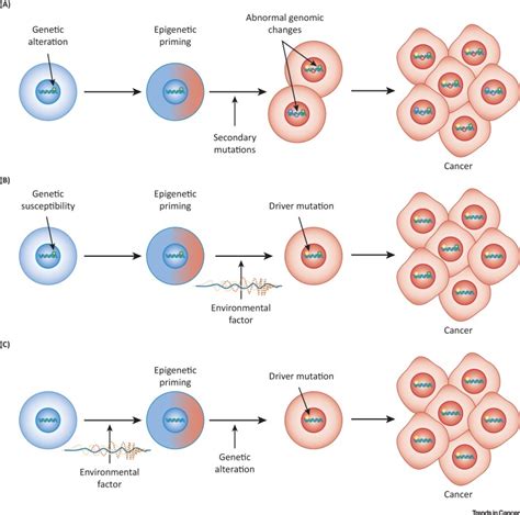 Epigenetic Priming in Cancer Initiation: Trends in Cancer