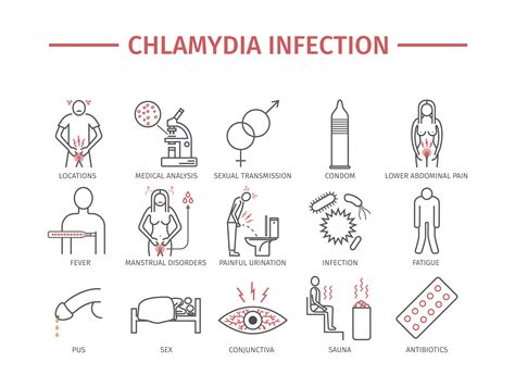 Chlamydia Symptoms, Pictures, Treatment | STD Chlamydia