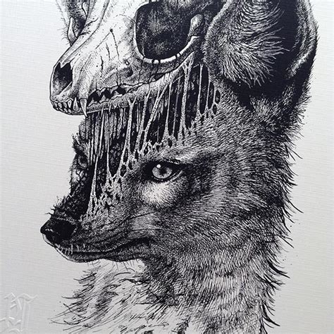 Animals Leave Their Skeletons Behind In Stunning Dark Drawings By Paul ...