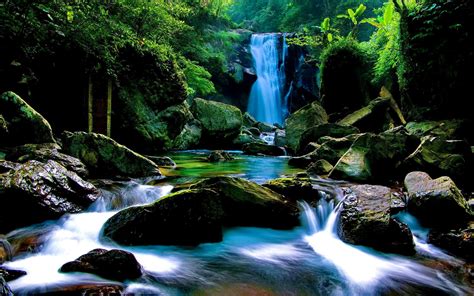 Forest Waterfall Wallpapers - Top Free Forest Waterfall Backgrounds ...