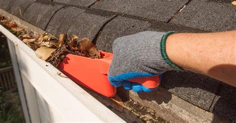 The 7 Best Gutter Cleaning Tools