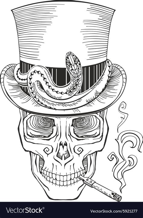 Human skull in a top hat Royalty Free Vector Image