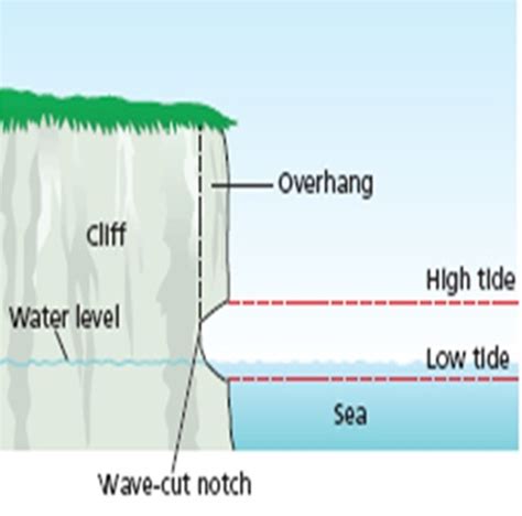 Higher Geography - wave-cut platform Diagram | Quizlet