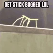 Stick Bug Get Stickbugged Lol GIF – Stick Bug Get Stickbugged Lol Get ...