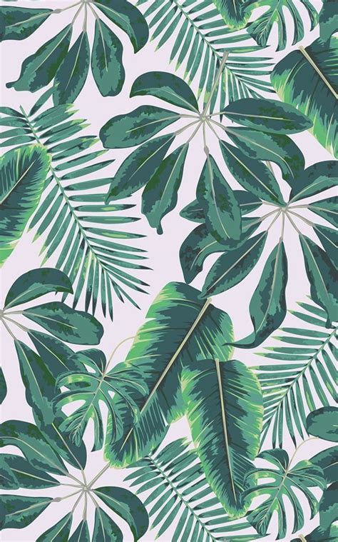 Mixed Tropical Leaves Wallpaper Mural | Hovia | Palm trees wallpaper ...