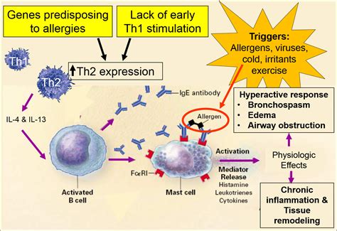 Respiratory Health