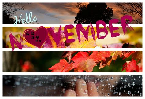 Hello November HD Wallpapers Free Download