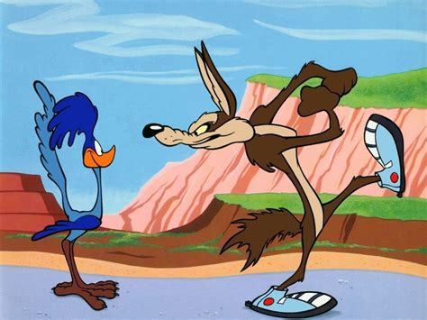 1440x900 resolution | Road Runner and Willie Cayote, Wile E. Coyote ...