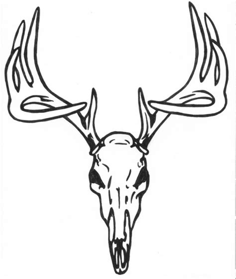 Free Skull Antlers Cliparts, Download Free Skull Antlers Cliparts png ...