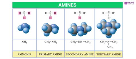 Amine - Formula, Structure, Uses, Nomenclature, Preparation & Basicity