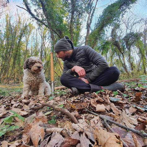 Truffle Hunting with Dogs | Modern Dog magazine