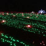 Meadowlark Gardens Winter Walk of Lights - FuninFairfaxVA