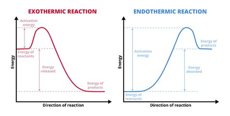 กราฟเวกเตอร์หรือแผนภูมิของปฏิกิริยาต่อมหัสจรรยาเสียและ Exothermic แยกบน ...