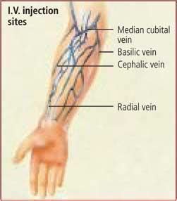 Intravenous Injection Sites