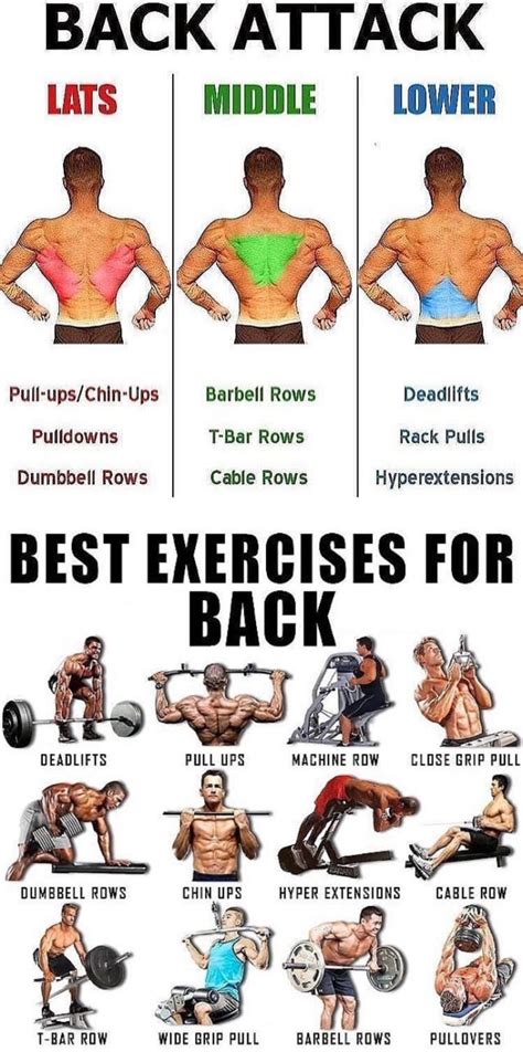 BACK EXERCISES TUTORIAL | GUIDE