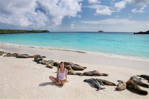 Galapagos ~ Galapagos Islands wildlife don't mind having people around ...