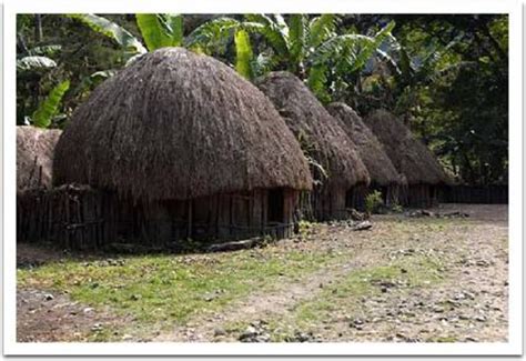 "HONAI", Exotic House in Baliem Valley, Wamena, Papua