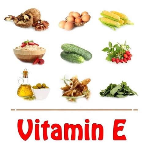 Vitamin E Rich Foods : 15 Amazing List - You Must Know | Styles At Life