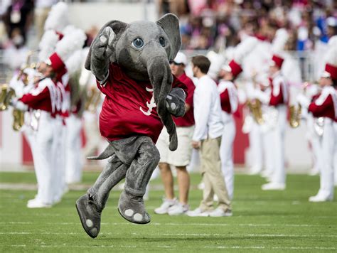 Alabama football turned $46M profit in 2016-17 | USA TODAY Sports