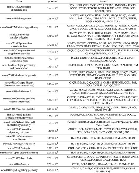 KEGG pathway enrichment results. | Download Scientific Diagram