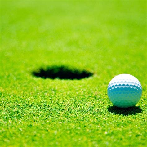 Golf green grass iPad Wallpapers Free Download