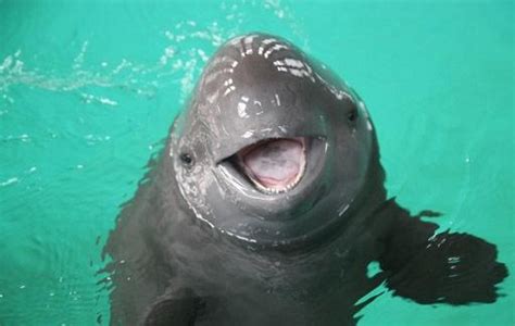 Uncategorized Archives - Happy Porpoise