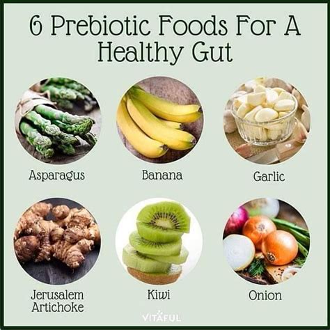 6 prebiotic foods for a healthy gut | Prebiotic foods, Nutrition food ...