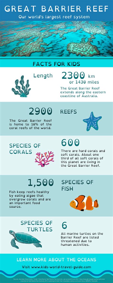 Fun Facts About Ocean Animals For Kids - Image to u