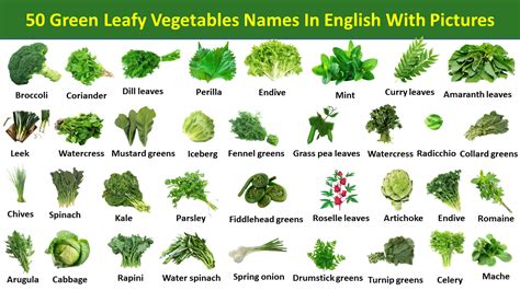 Leafy Green Vegetables List