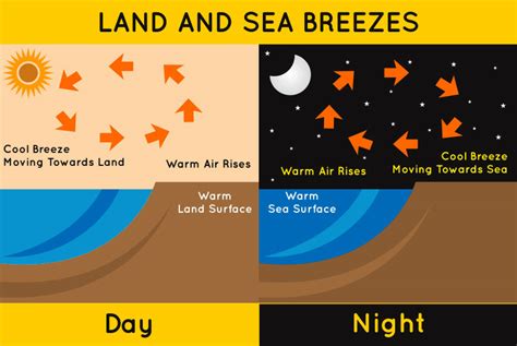 Land Breeze and Sea Breeze: Definitions, Differences and Diagrams