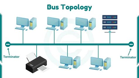 What is Bus Topology - Examples, Characteristics and Working